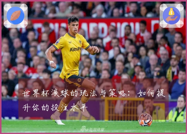 世界杯滚球的玩法与策略:如何提升你的投注水平