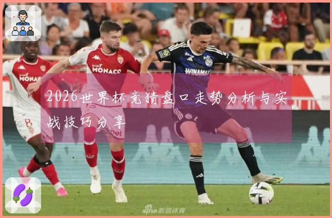 2026世界杯竞猜盘口走势分析与实战技巧分享