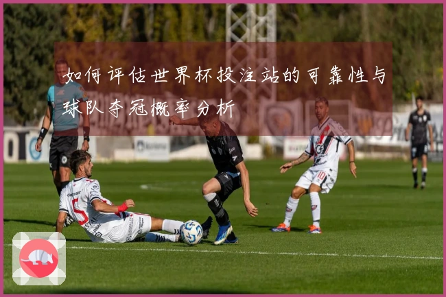 如何评估世界杯投注站的可靠性与球队夺冠概率分析
