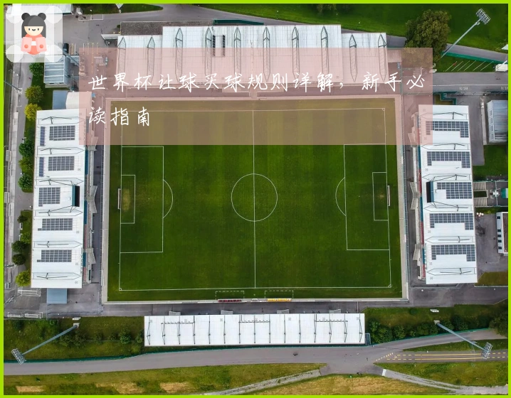 世界杯让球买球规则详解，新手必读指南