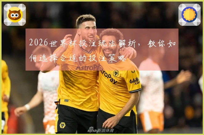 2026世界杯投注玩法解析，教你如何选择合适的投注策略