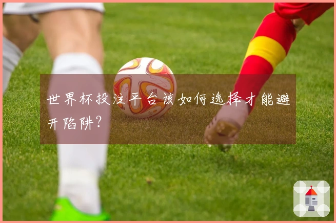 世界杯投注平台该如何选择才能避开陷阱？