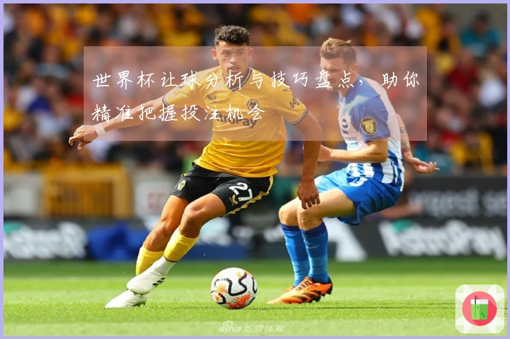 世界杯让球分析与技巧盘点，助你精准把握投注机会