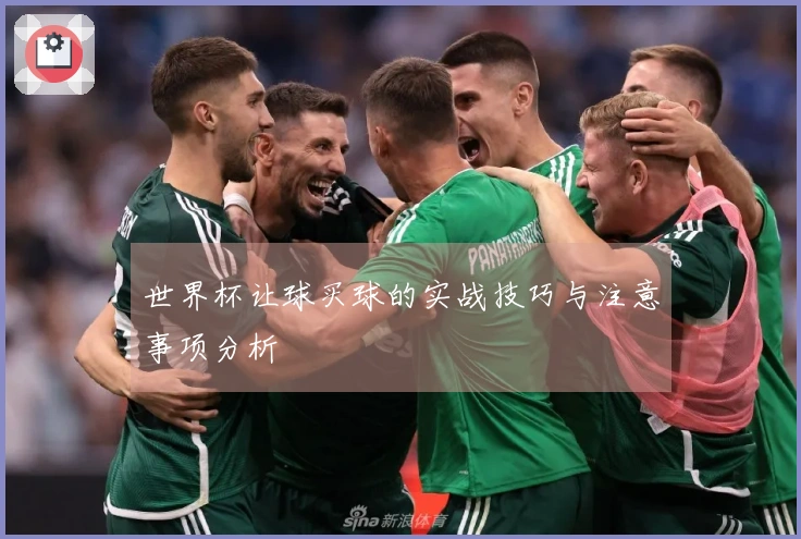 世界杯让球买球的实战技巧与注意事项分析