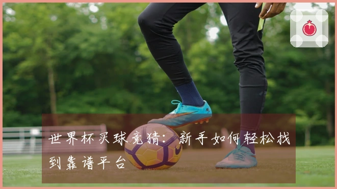 世界杯买球竞猜：新手如何轻松找到靠谱平台