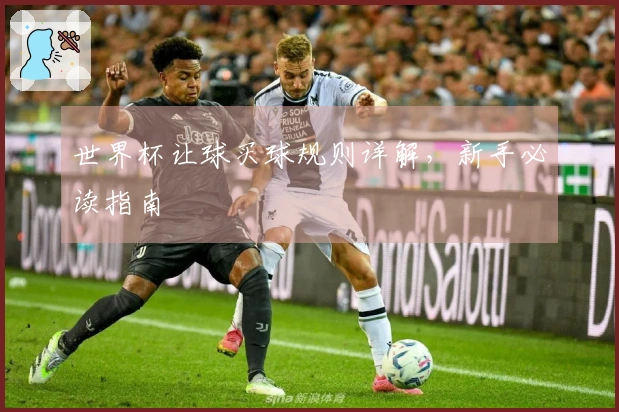 世界杯让球买球规则详解，新手必读指南