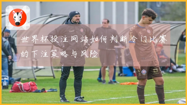 世界杯投注网站如何判断冷门比赛的下注策略与风险