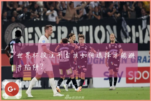 世界杯投注平台该如何选择才能避开陷阱？