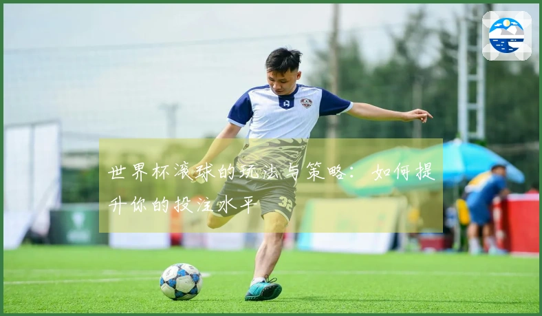 世界杯滚球的玩法与策略：如何提升你的投注水平
