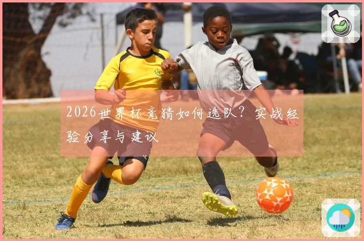 2026世界杯竞猜如何选队?实战经验分享与建议