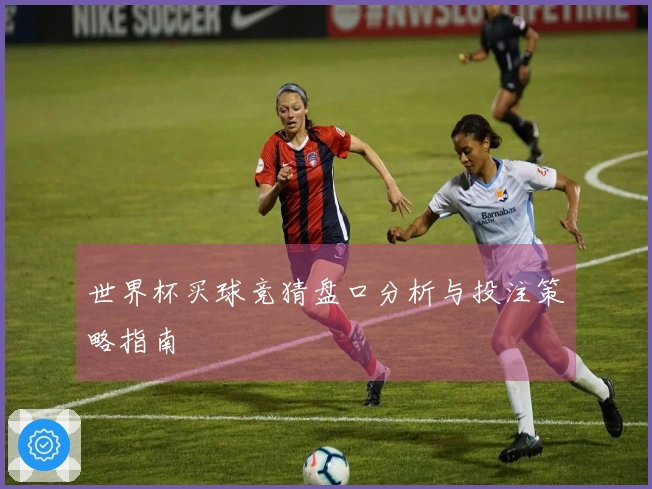 世界杯买球竞猜盘口分析与投注策略指南